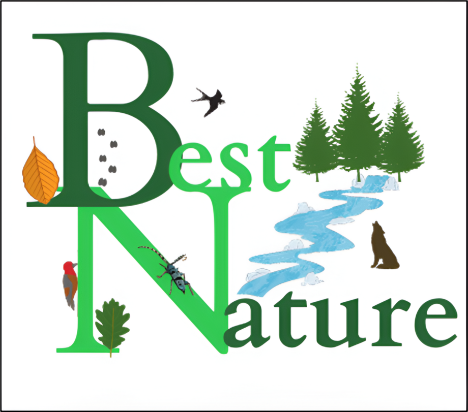 Erasmus+ project BESTNATURE: Forests in focus