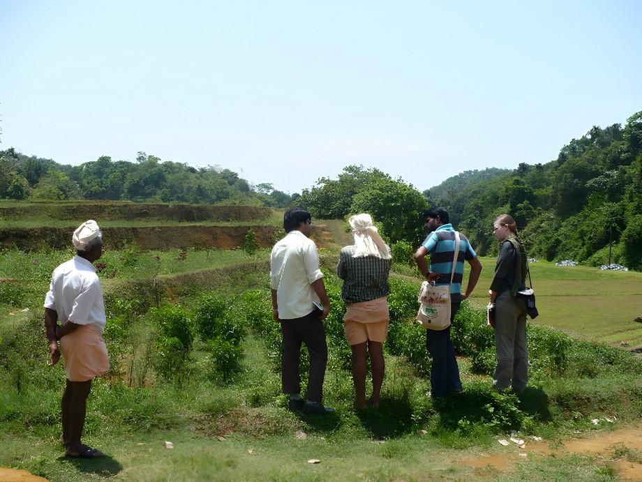 BioDIVA - Nachhaltige Landwirtschaft und Biodiversität in Süd-Indien