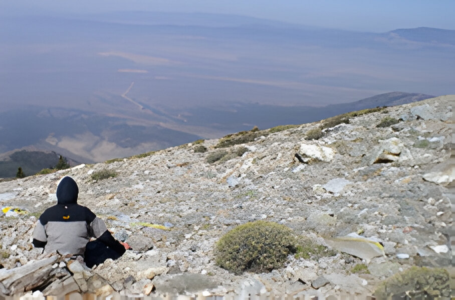 Der Beitrag von Ökotonen zur funktionalen, strukturellen und floristischen Vielfalt semiarider Hochgebirge - eine Fallstudie im Great Basin, USA